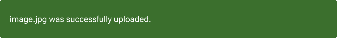 The affirmative message 'image.jpg was successfully uploaded' is placed within a positive notification.