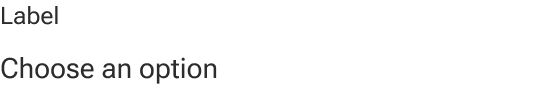 An input is displayed with a label and sample value text. The input field has no visible border.