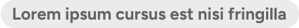 The tag's width expands to accommodate the length of the text.
